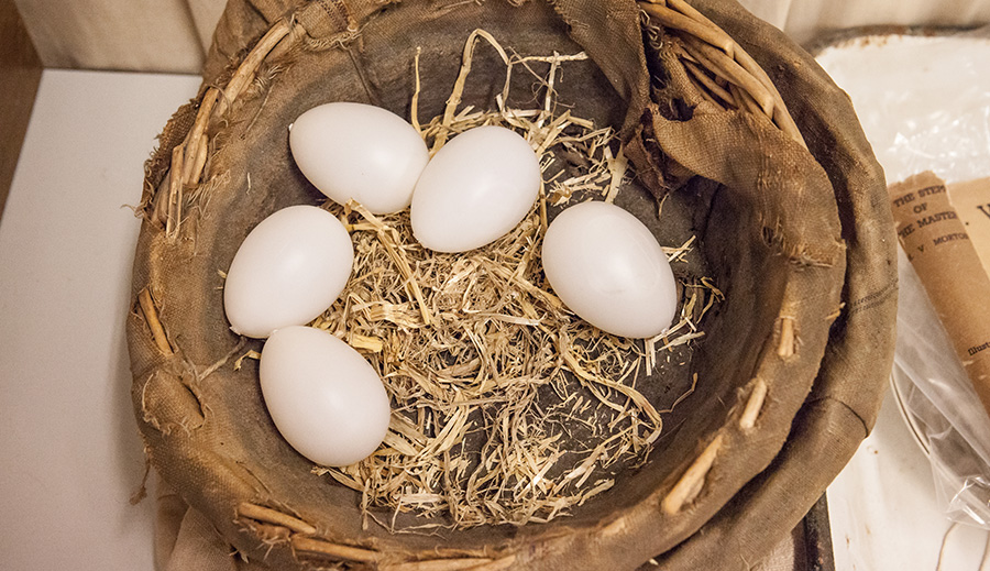 basket of eggs prop